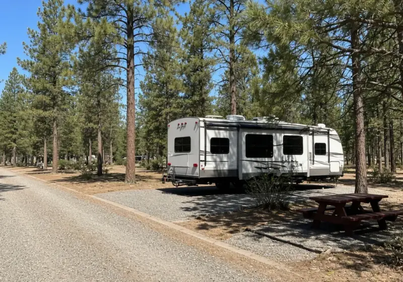 A pull-through RV site beside a back-in RV site in a park